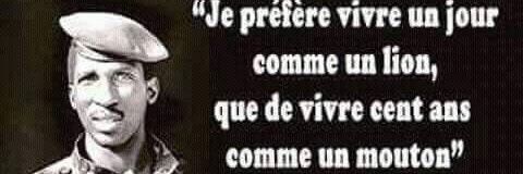 Yace Timal banner
