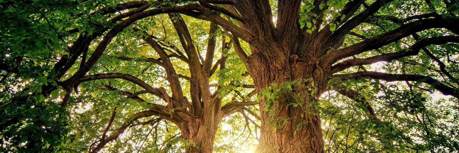 LifeEarthEnvLSK's profile banner image