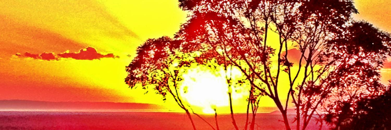 jeffrey_reeve's profile banner image