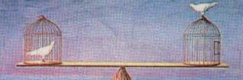nurgulbac5's profile banner image