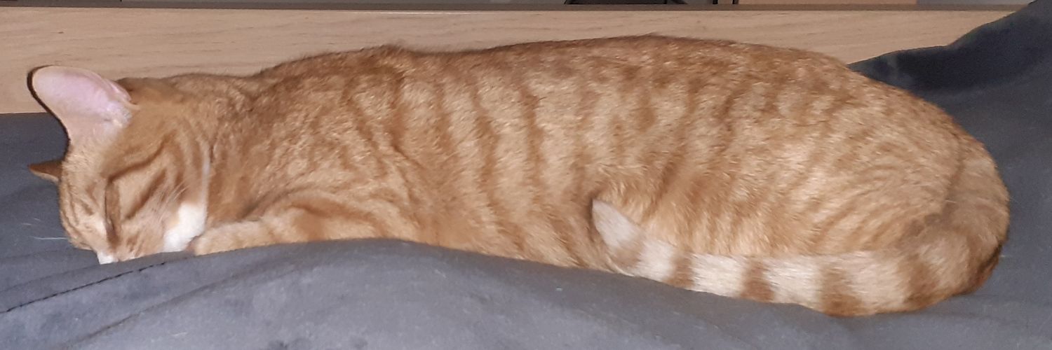 Phoebertjuh's profile banner image