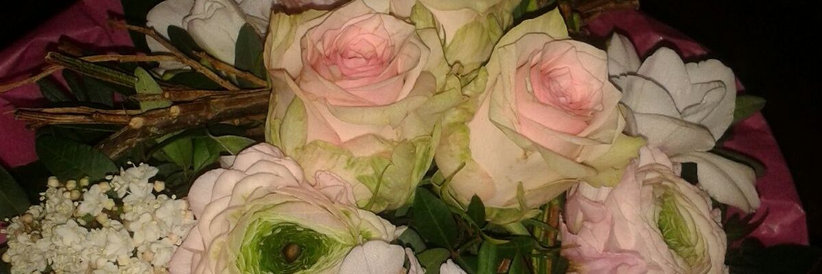 Padasister's profile banner image
