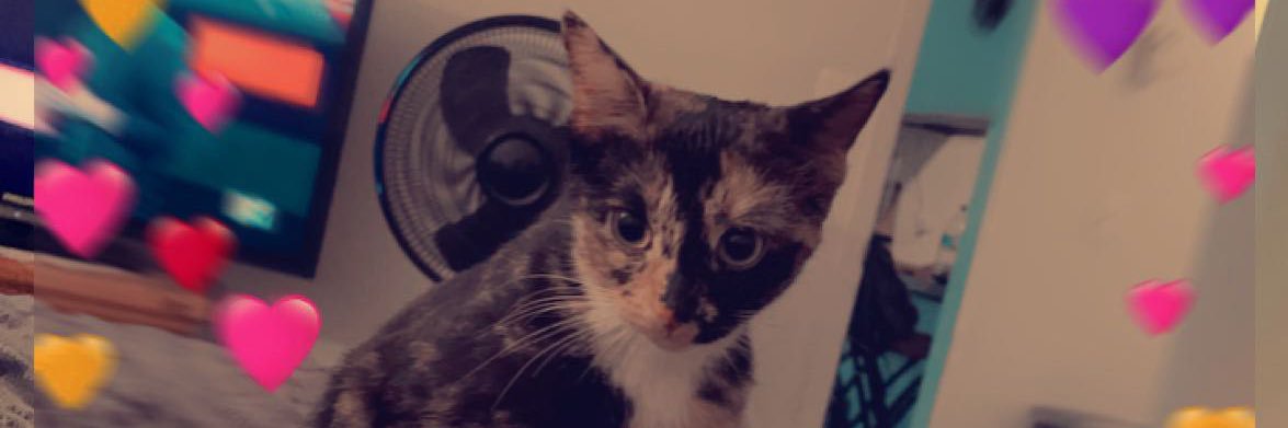 hannahbaker112's profile banner image
