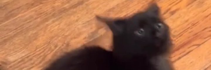 shloafofbread's profile banner image