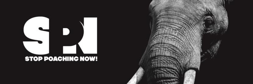 Stop Poaching Now! banner