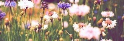 jf0228's profile banner image