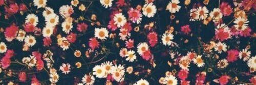 GenesisKlassB's profile banner image