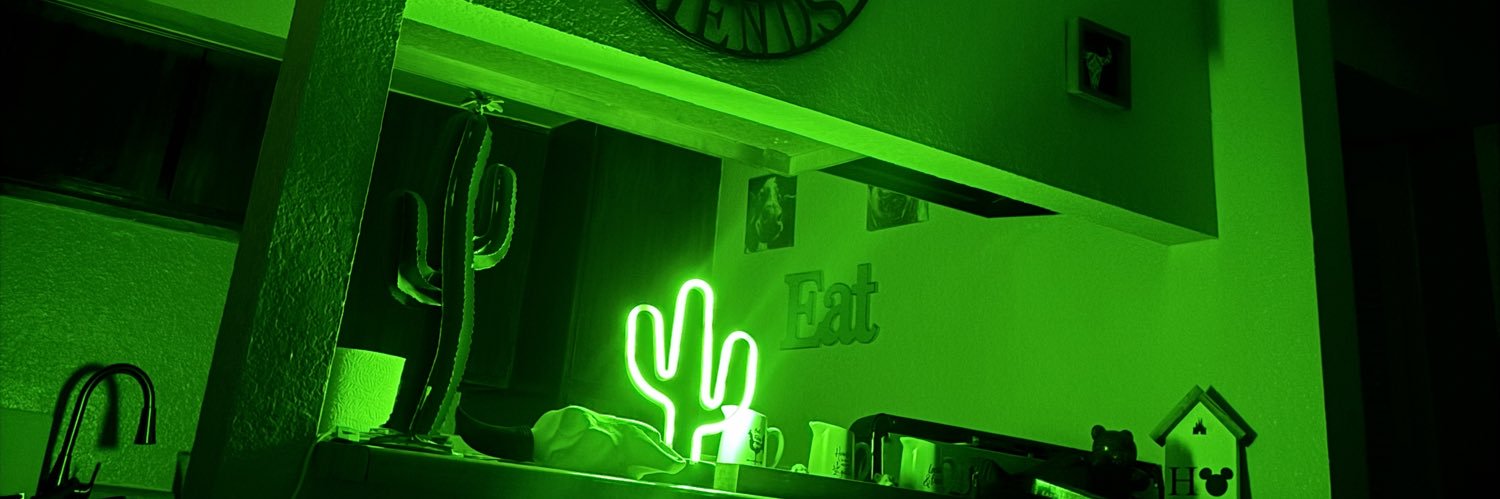 Cactus_meloddy's profile banner image