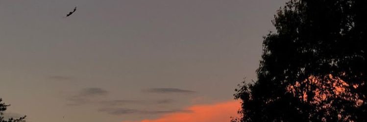 aisyaaahssn's profile banner image