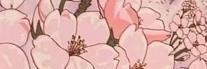 casxper's profile banner image