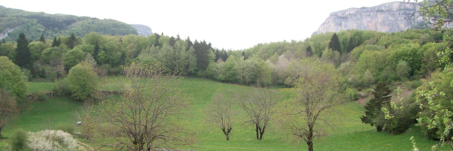 pascalfouque's profile banner image