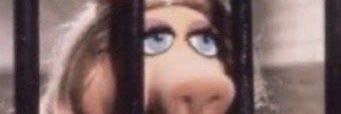 Isaiahface123's profile banner image