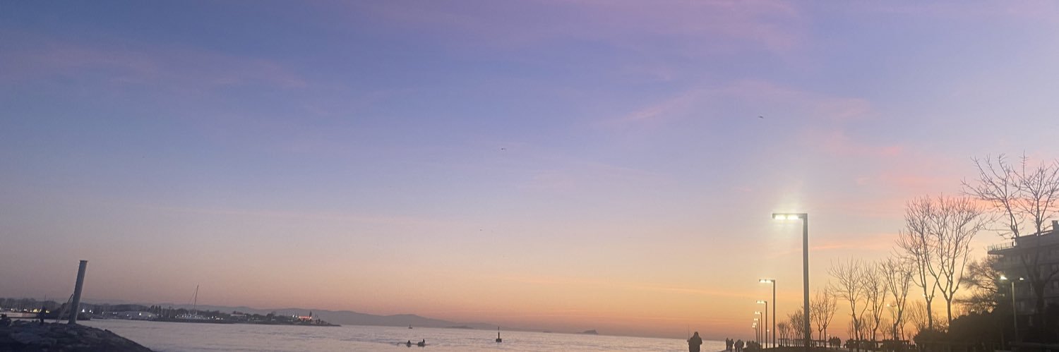 muniseoztrk's profile banner image