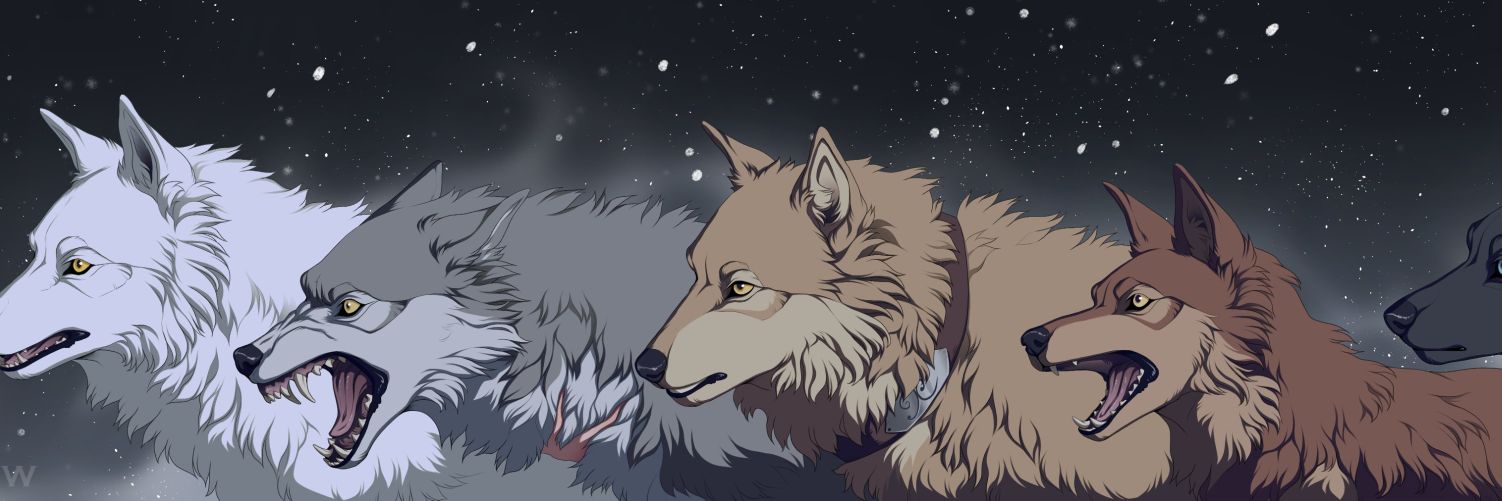 Arge217's profile banner image