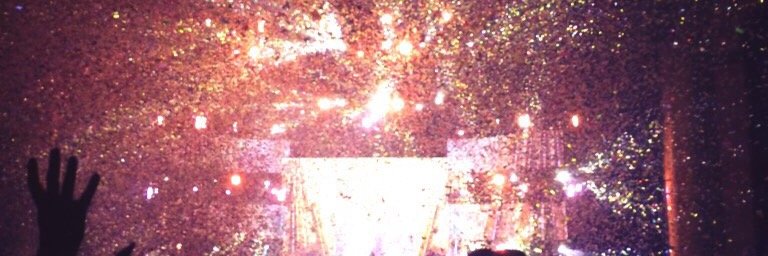 Michelle Stepek banner
