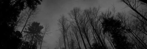 carmesssss's profile banner image