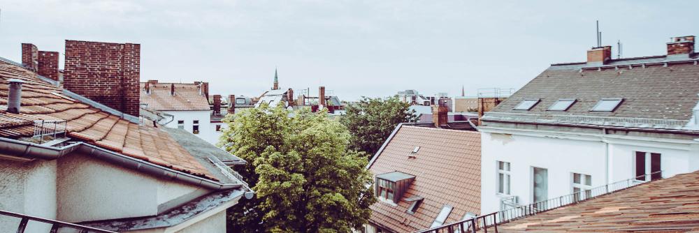 ZINSLAND's profile banner image