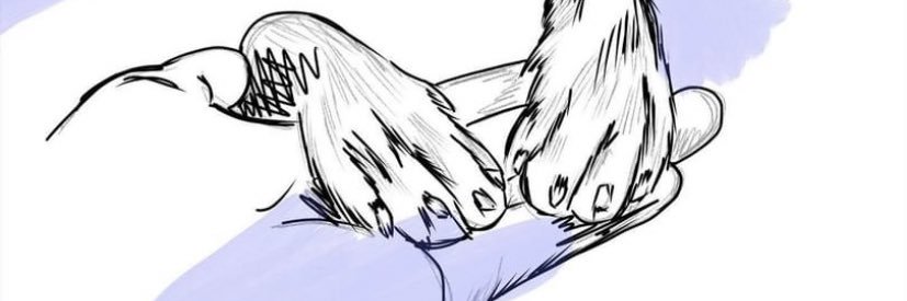 chaotic_ko's profile banner image