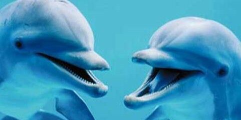 ChayenneVander1's profile banner image