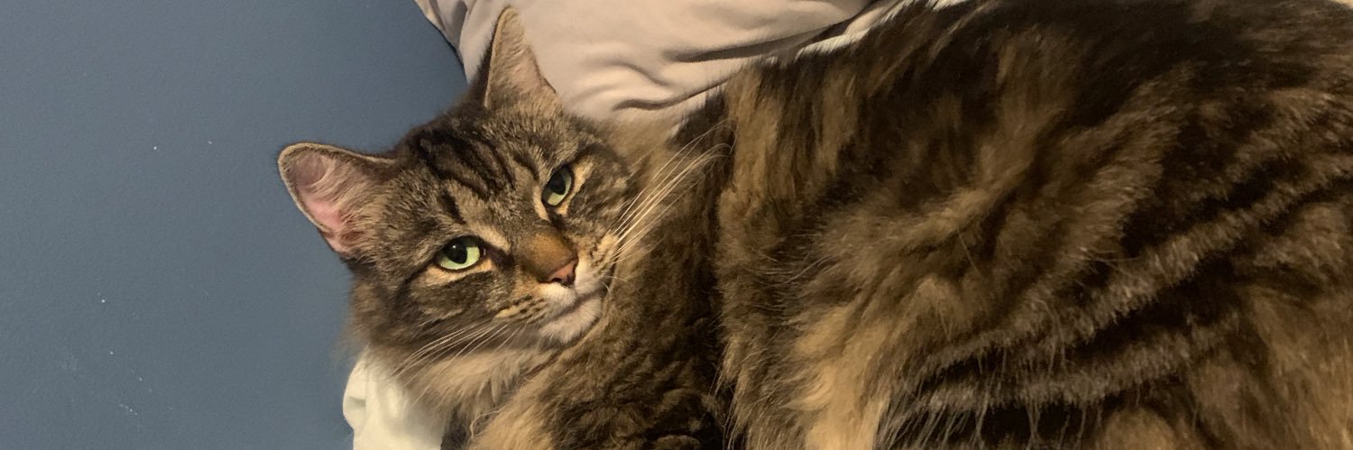 kat7272003's profile banner image