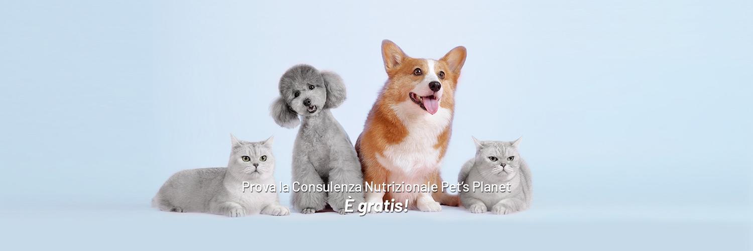 Pet's Planet banner