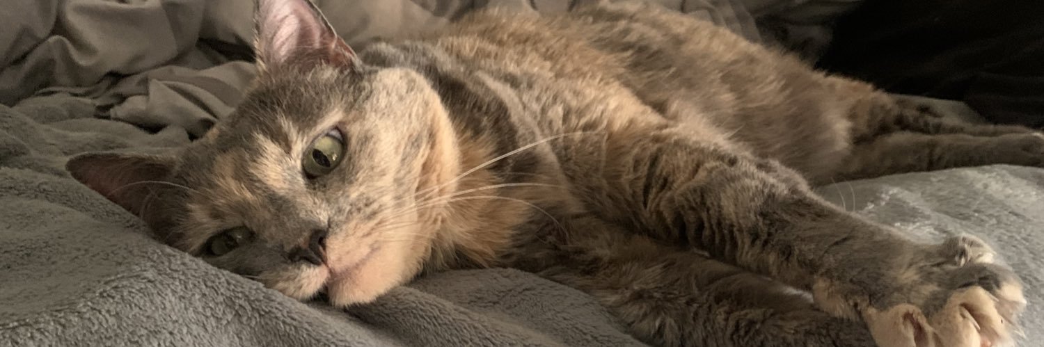 emilyracoon's profile banner image