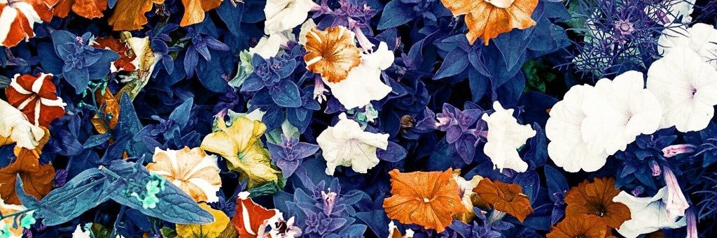 localibera's profile banner image