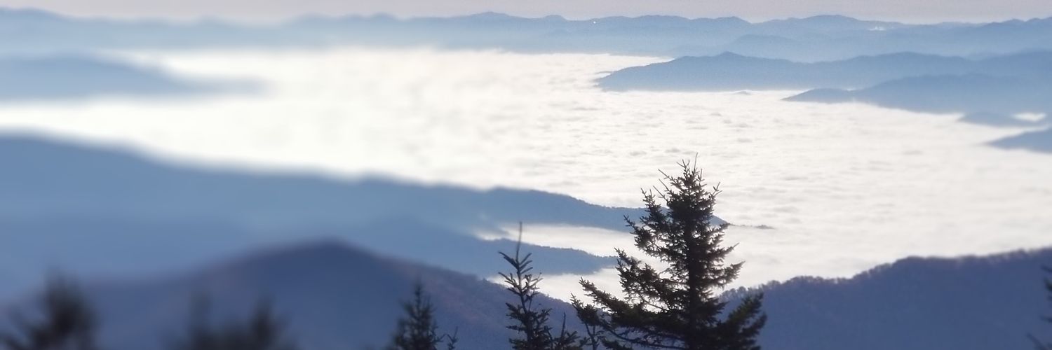 leebadozer's profile banner image