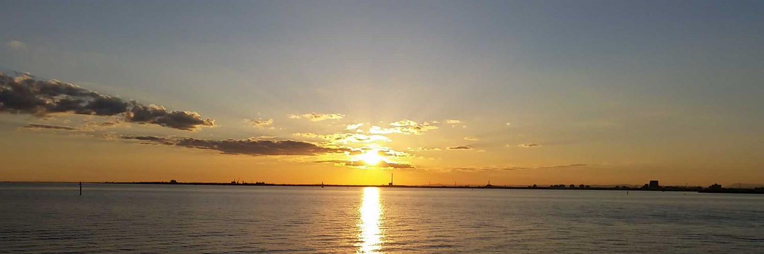 Michael Morley banner