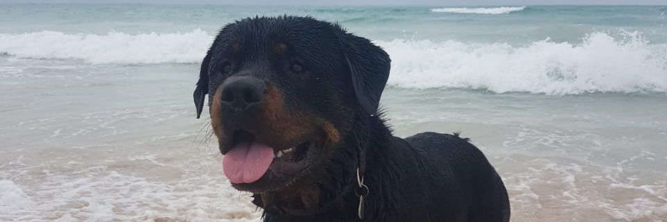 Gerrit_Swart_'s profile banner image