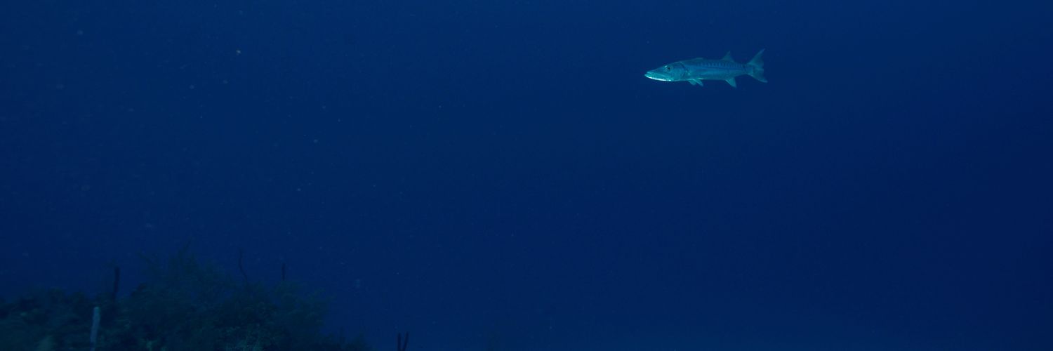 Dr Ian Frayling 🇺🇦 #LongCovid banner