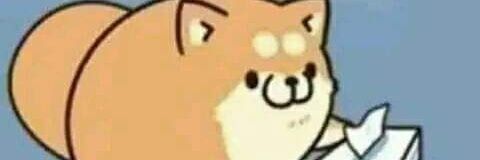 ItsTchuckieee's profile banner image