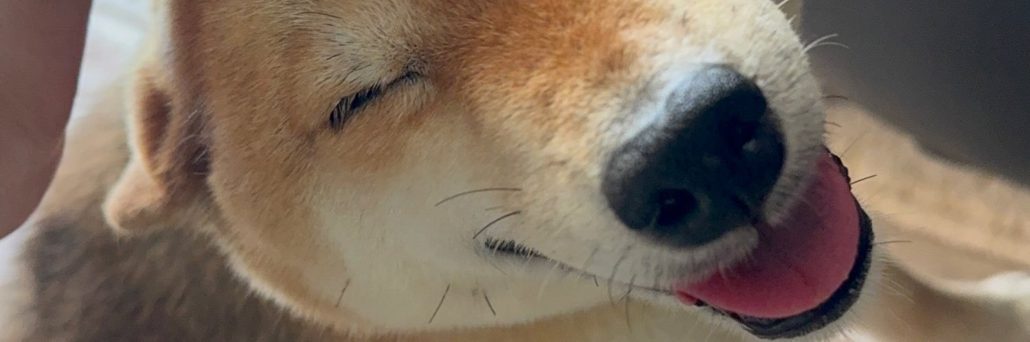 nochi0's profile banner image