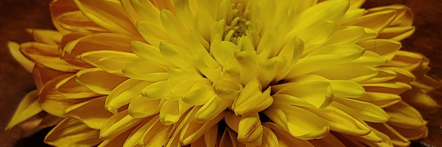 mingstrup's profile banner image