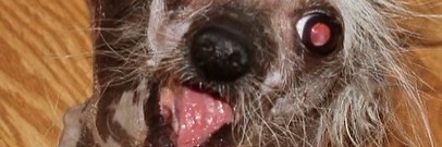 mcamimar's profile banner image