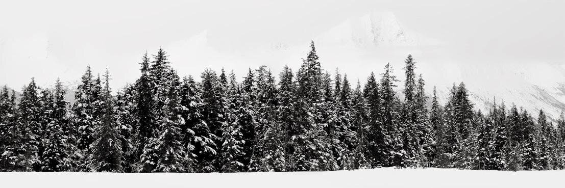 joshov's profile banner image