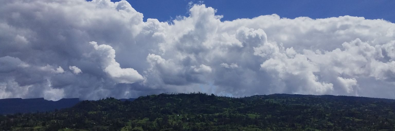 Rain_bowLS's profile banner image