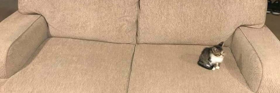 MindChem will see MCR in APRIL 🩸🧛‍♀️ banner