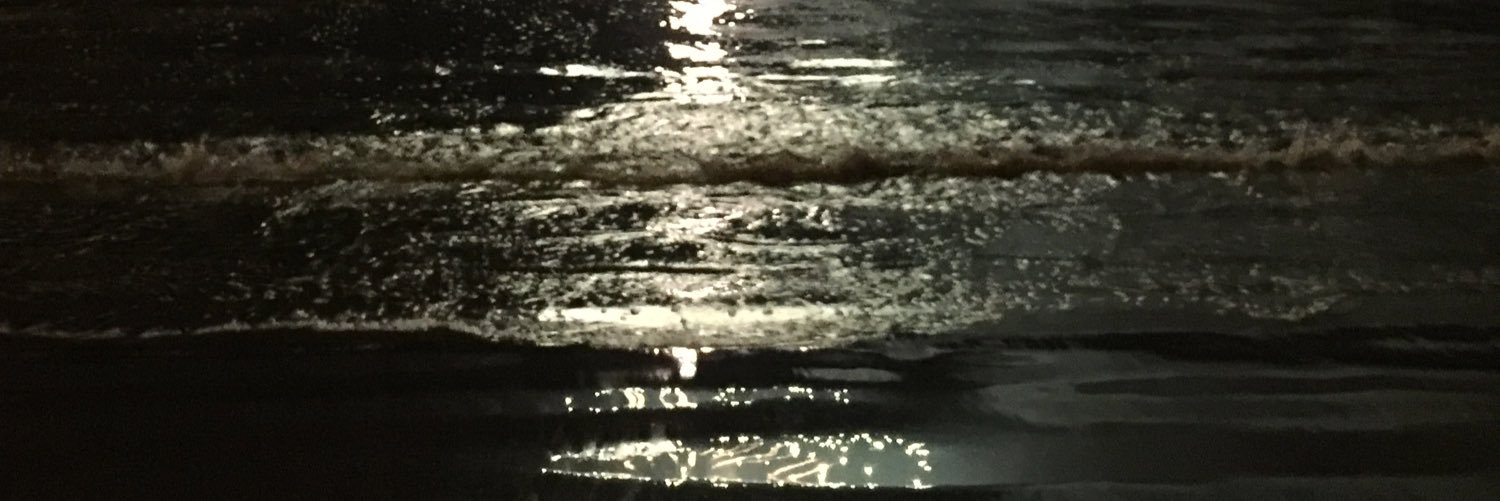 zzonck's profile banner image