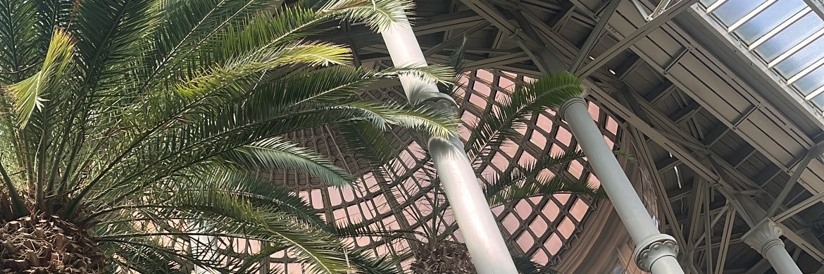 drwszy's profile banner image