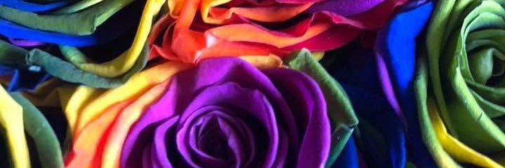 zombiegal33's profile banner image