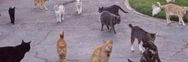 terra422 Profile Banner