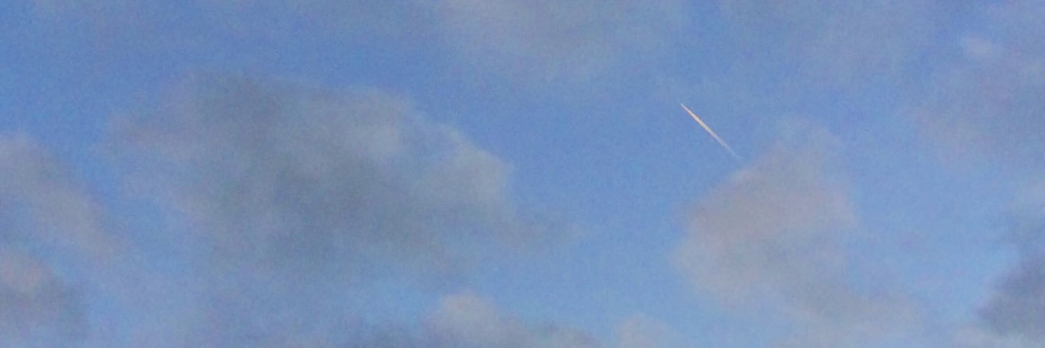 cyborgLeFeu's profile banner image
