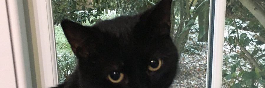 viancaakee's profile banner image