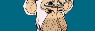 TaylorMFrank's profile banner image