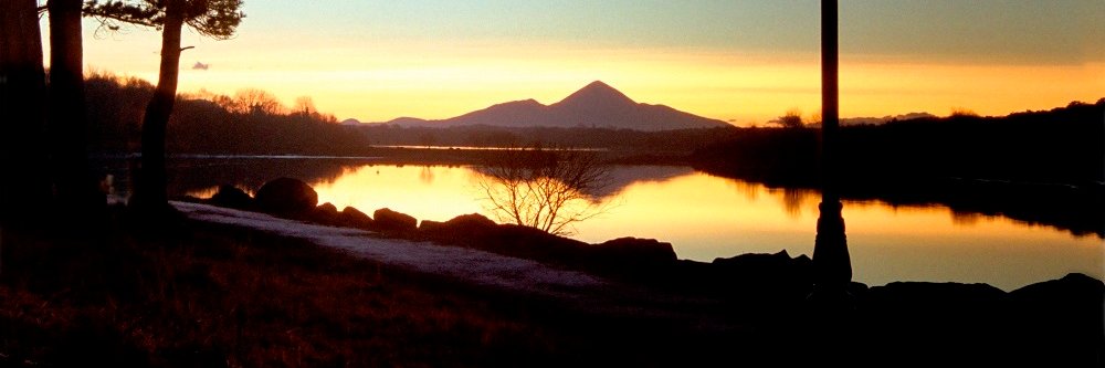 Clodagh Butler banner