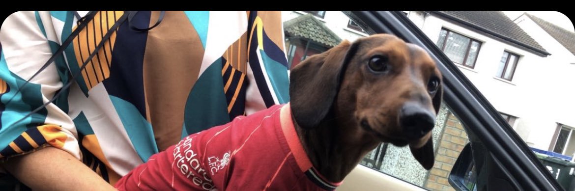 WayneMc10's profile banner image