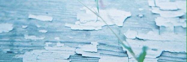 ptpp22122gmail1's profile banner image