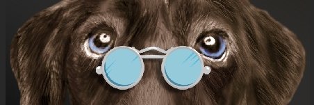 AriqLabs's profile banner image