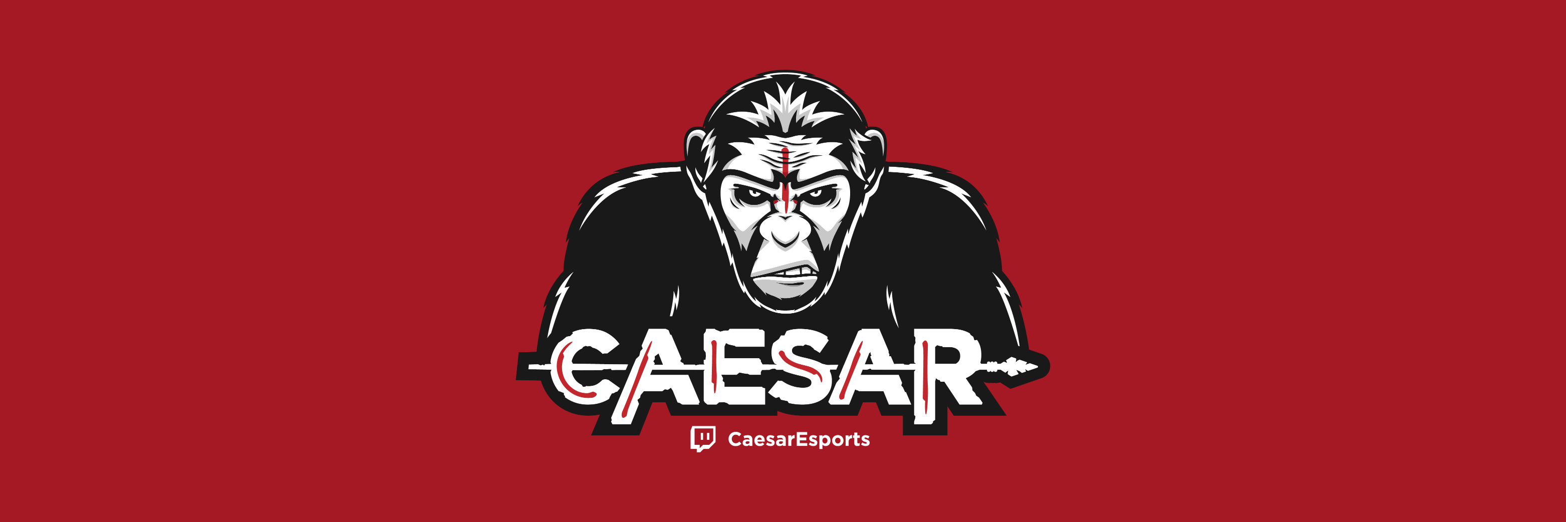 Caesar banner